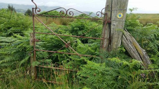 Follow the path. Which path?