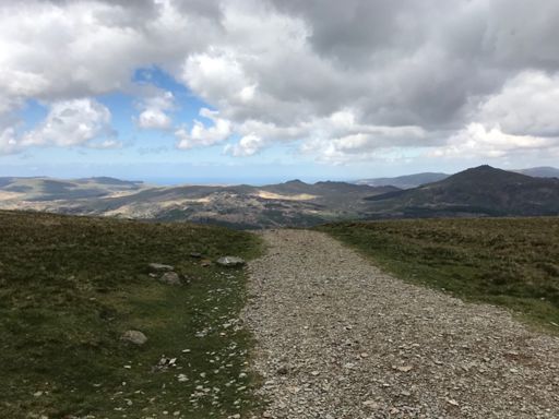 Fuck me, that was no joke