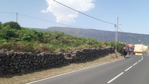 Benijos  🐎  con la punta del Teide al fondo  😍