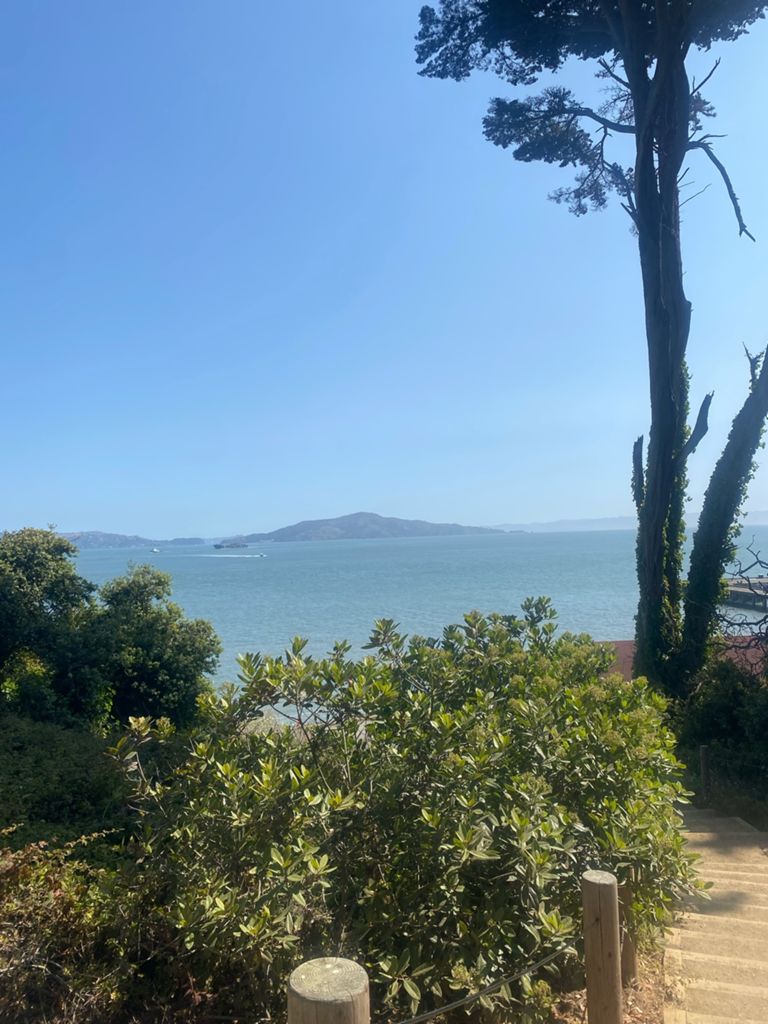 Butterlap (Presidio & Golden Gate Park) photo 184