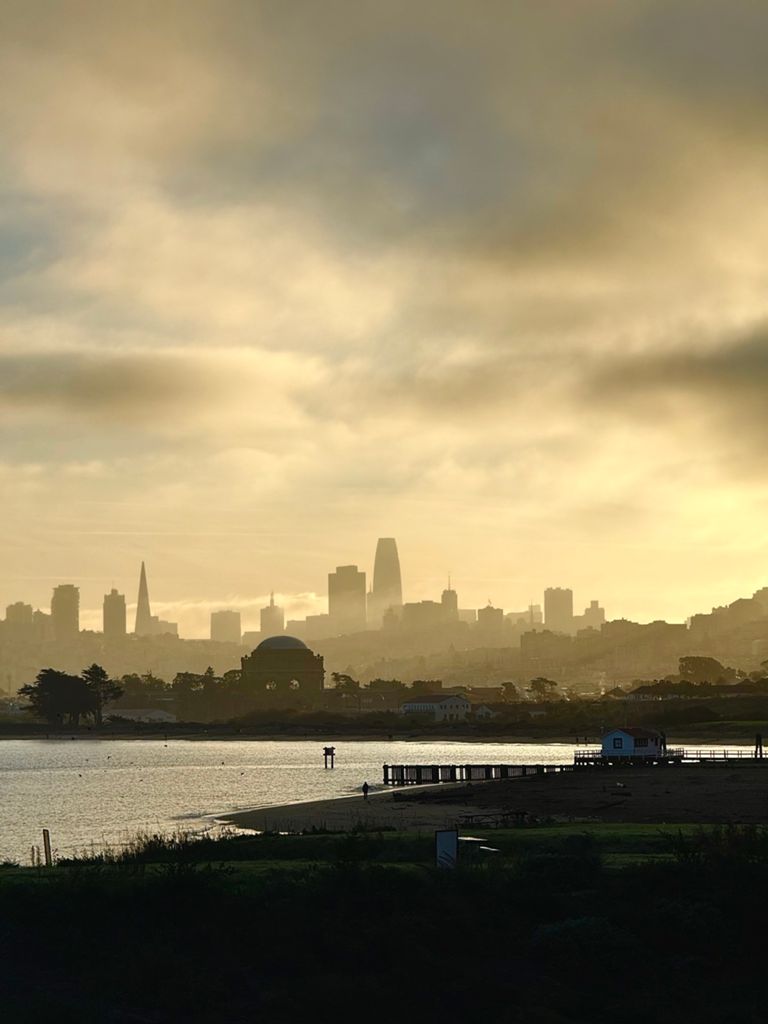 Butterlap (Presidio & Golden Gate Park) photo 92