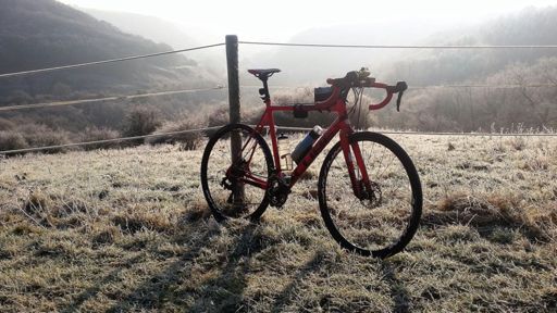 Die Buch hoch bei -5 Grad