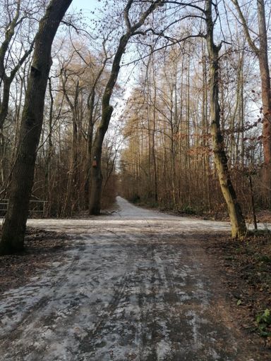 Sahnpark war noch Eisplatte 🙈