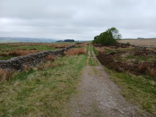 See previous notes, heading towards Allendale Town.