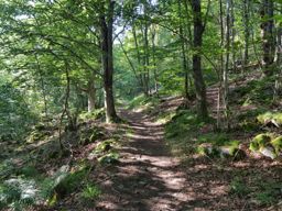 De Fouday au château de Belfosse