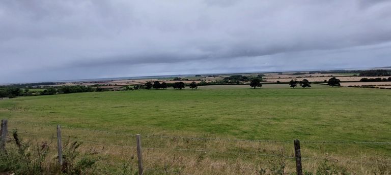 View east south east just south of Middleton Lodge - Bamburgh Castle is the tiny bump on the horizon, above the left group of foreground trees.  We would be cycling down through that landscape to about 200m from the castle.