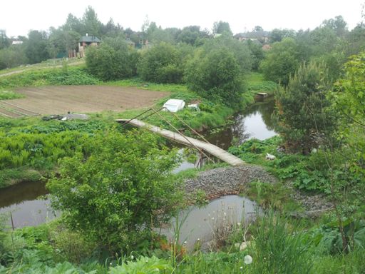 Найди крокодила