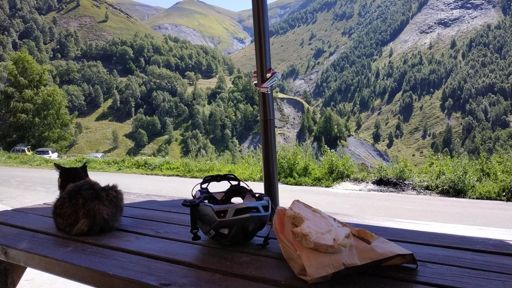 repas en bonne compagnie