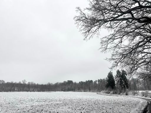  Bieststraat - Pellenberg 
