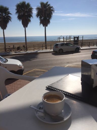 Relax day before the race