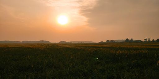 Поля после Озёр в дымном смоге