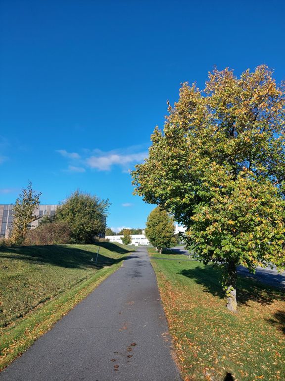 route-highlight