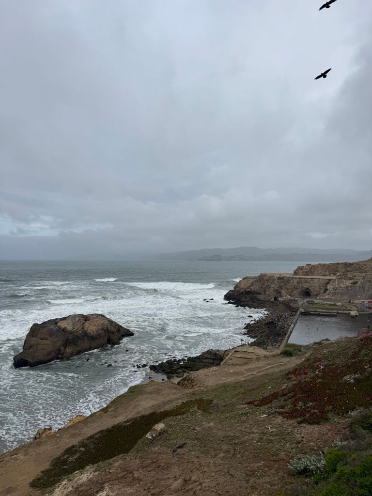 Butterlap (Presidio & Golden Gate Park) photo 89