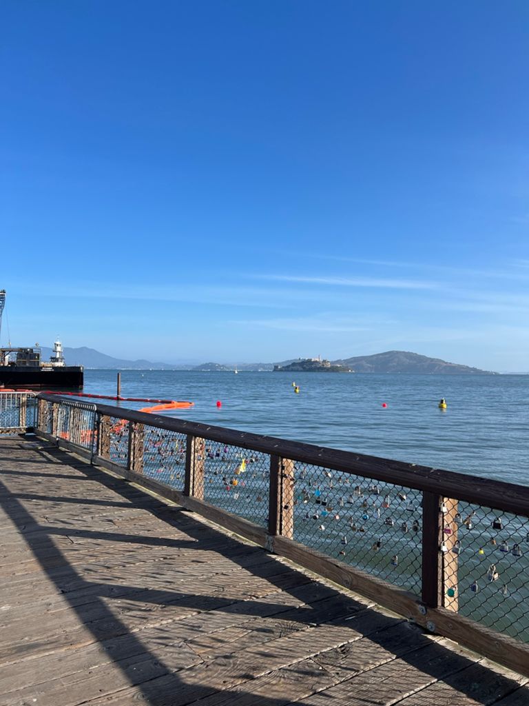 Butterlap (Presidio & Golden Gate Park) photo 172