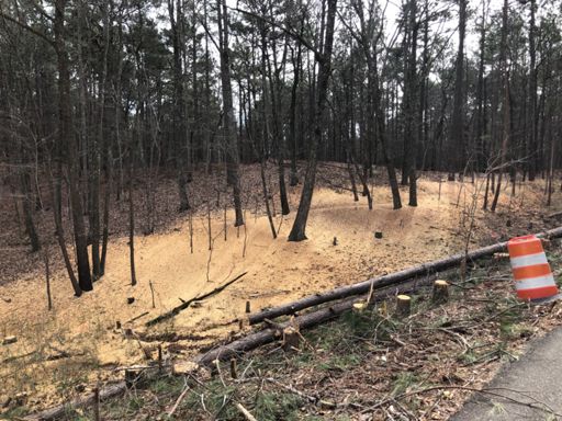 Single track through the saw dust.