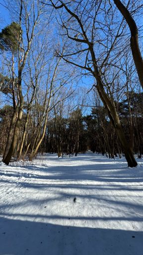 Winterstimmung an diesem sonnigen Februarmittwoch im Naturpark „Fauler See“.