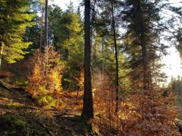 VTT avec Guilhem et Myriam
