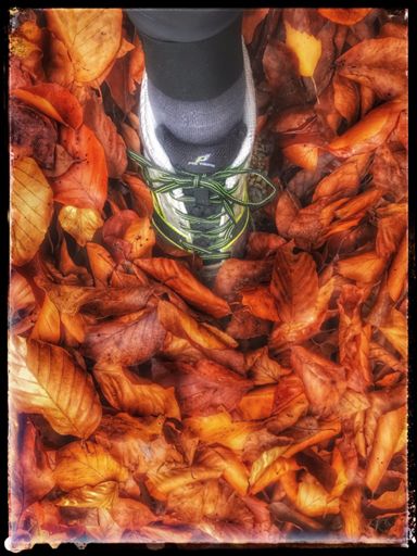 das Gold für den Boden