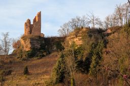 Back home, bonne année !