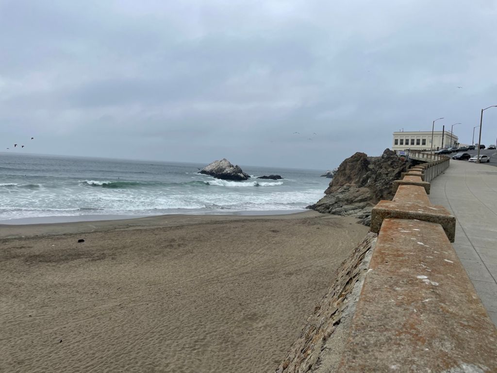 Butterlap (Presidio & Golden Gate Park)的照片 172