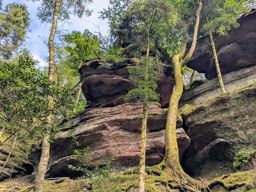 Balade autour de schaefferhof