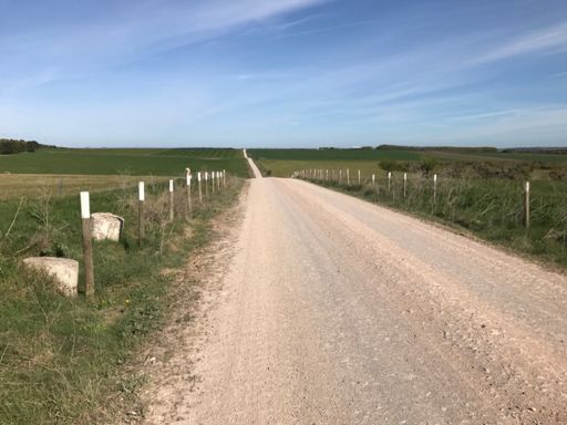 The white dusty roads of the Salisbury plain 😝