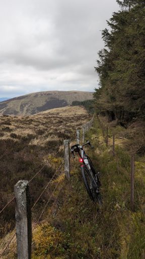 Walking around the impassible fallen trees