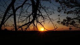 Balade de l’arche perdue