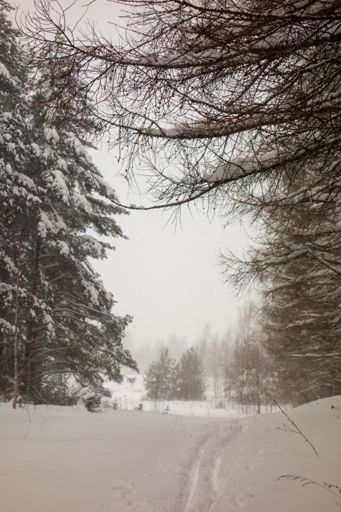 Никольское - Соколово.
