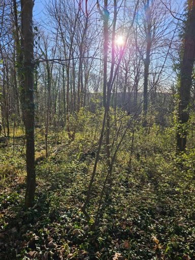 It's all about route choice...