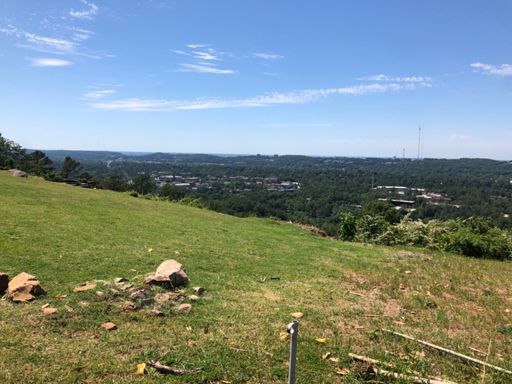 Samford. Plus, far beyond the horizon is the bankhead national forest in this general direction.