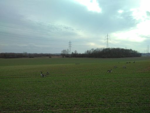 Nils Holgerson macht auch mal Pause