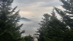 Madeleine Saint dié