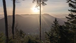 Tour dans forêt de Taintrux avant la séance d’escalade