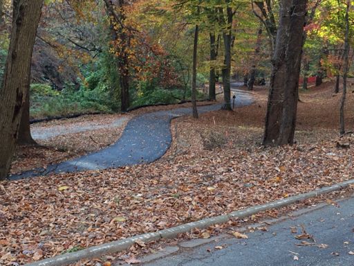New repaired section of the Rock Creek trail from Phase 1 work.