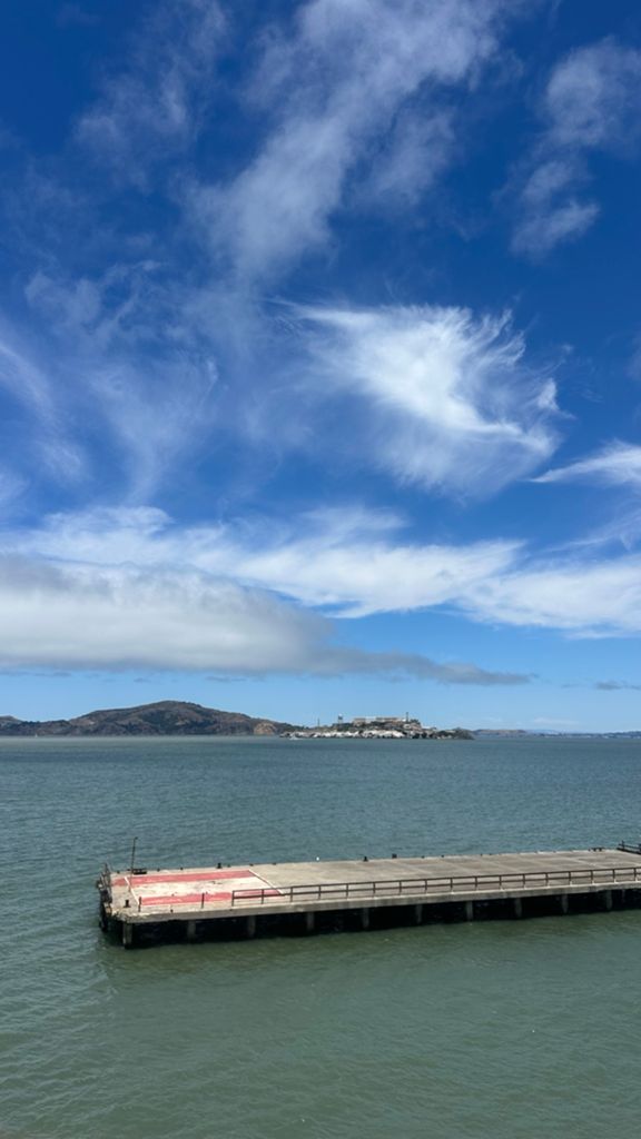 Butterlap (Presidio & Golden Gate Park) photo 199