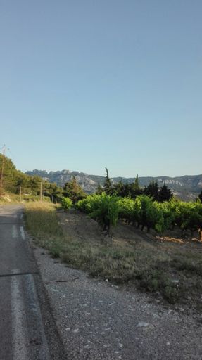 Dentelles de Montmirail