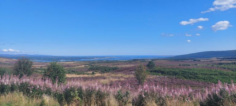 Looking over rough grassland  and forest to Cambuscurrie Bay, and beyond that on the south bank to the Ness of Portnaculter spit, Dornoch Firth Bridge (6.3 miles away) we'd cycle over on Day 39 and beyond that on the north bank Dornoch Point and beyond that on the south bank Whiteness Sands then Tarbat Ness (c18 miles away)