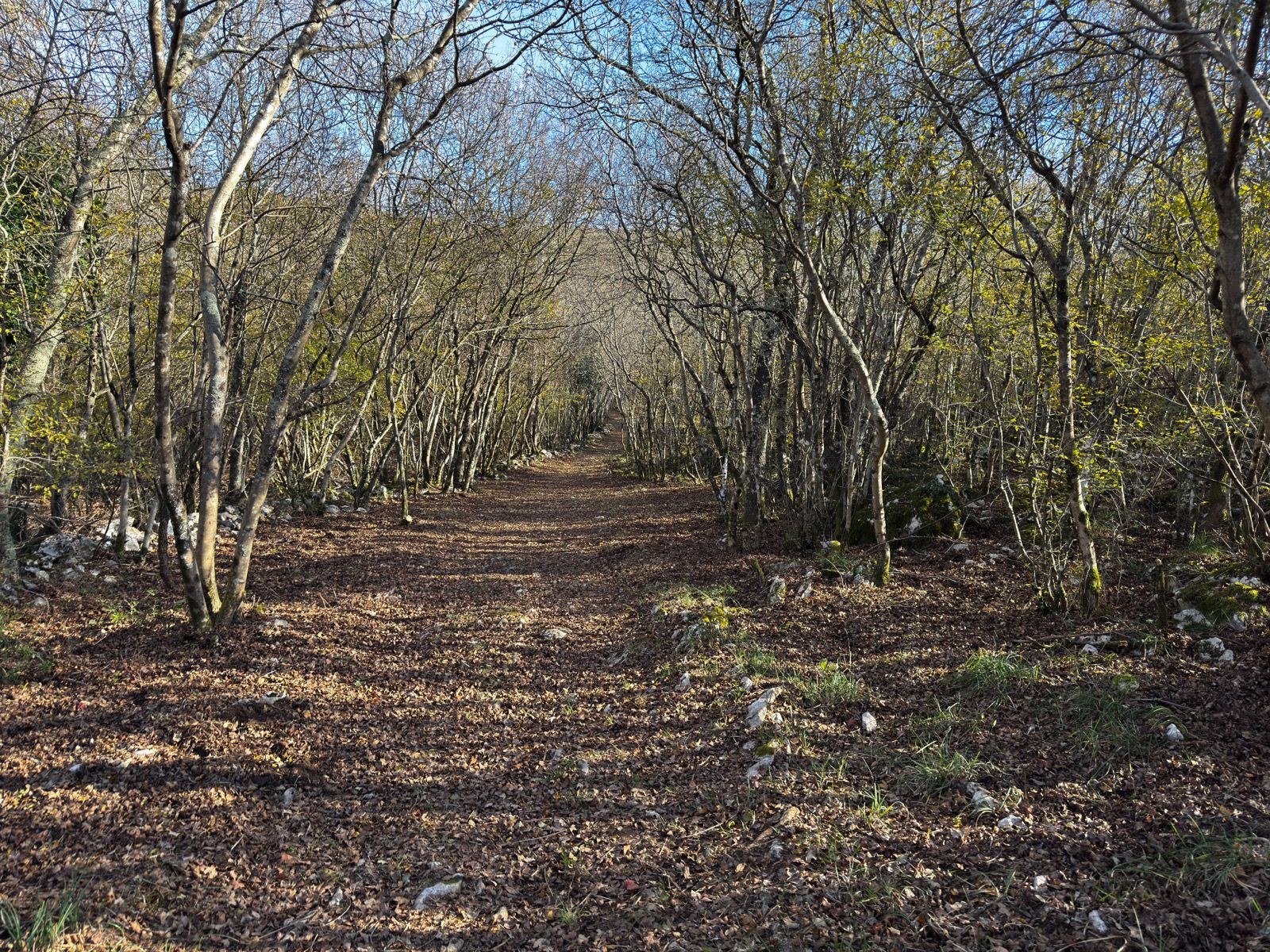 Ride Image 3