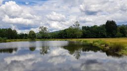 Balade à Pierre Percée VTT+marche