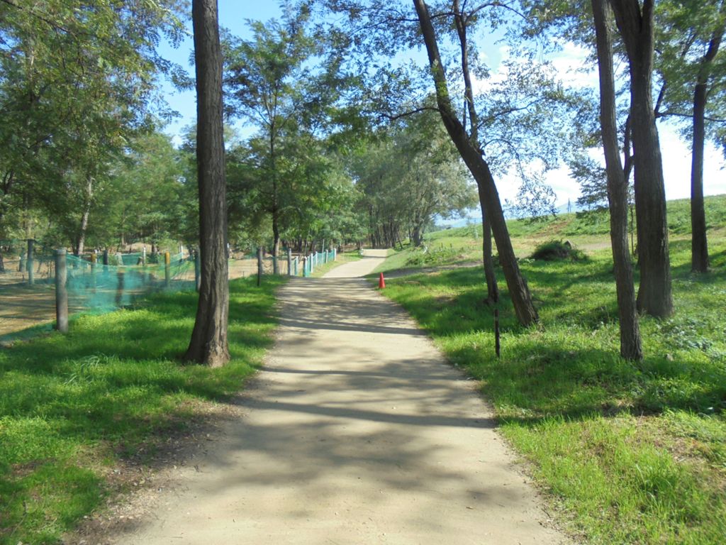 Relive ｲﾝﾀｰﾊﾞﾙ走 4本でﾊﾞﾃﾊﾞﾃ