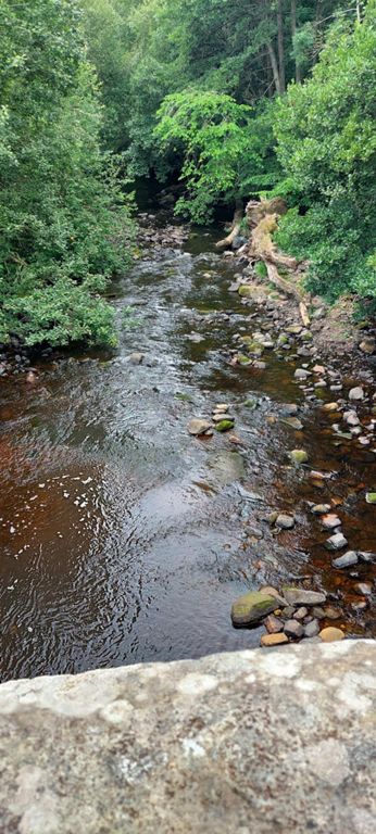 River Nethan, Lesmahagow