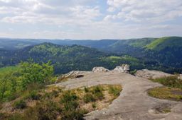 Dans les coins de Dabo