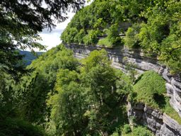 Cascades du hérisson