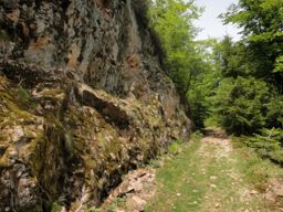 Lac de Longemer <-> Hohneck