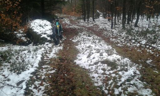 Soonwald zwischen Nordcol und FH Wilburg