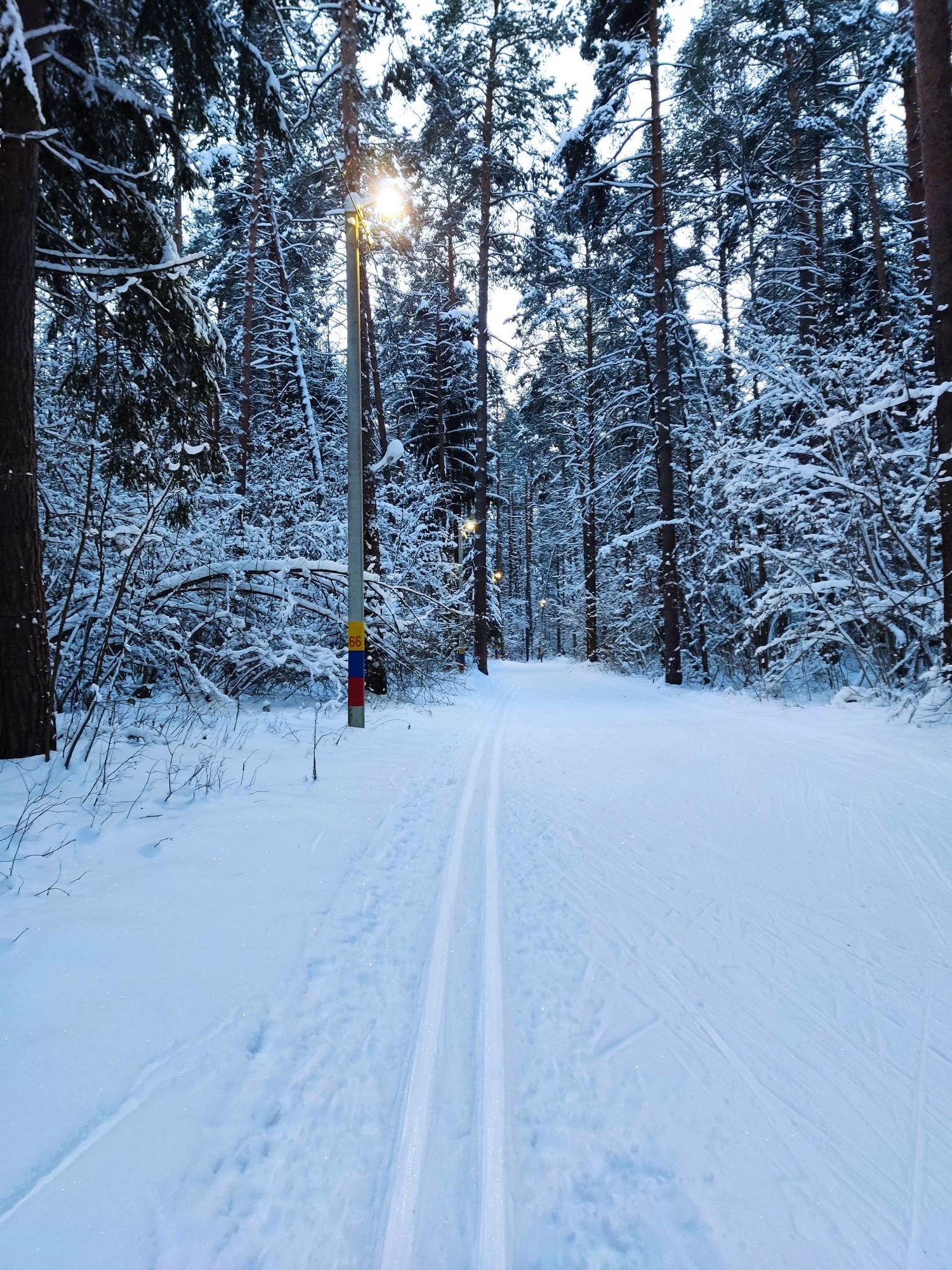Strava Nordic Ski Activity