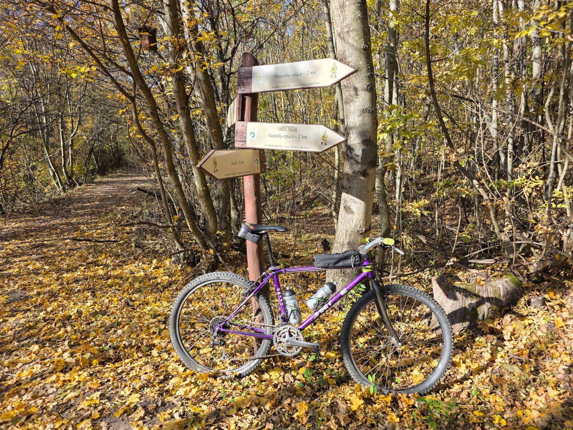 6huJjINCs0cJIkPxV3sokN-KEuO_OnJ1Z1360F3c