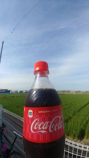 今年も-4℃のお世話になります