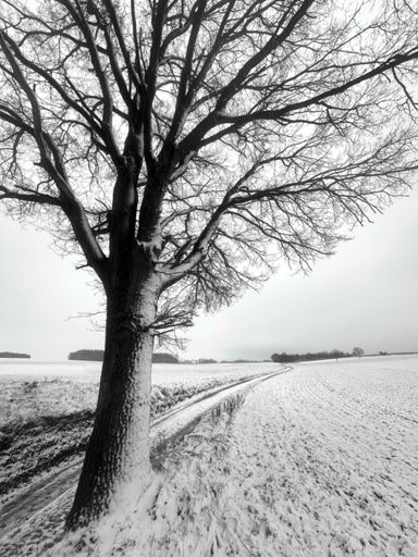 Meerbeeksedelleweg - Lovenjoel